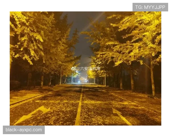 张楠朋友圈随手一拍就是高级感,看着又甜又穷的感觉太像吃瓜群众的日常